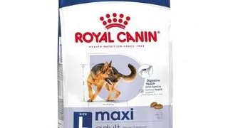ROYAL CANIN Maxi Adult 4kg hrana uscata pentru caini adulti cu varsta de pana la 5 ani, rase mari