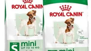 ROYAL CANIN Mini Adult 2x8kg mancare uscata pentru caini adulti, rase mici