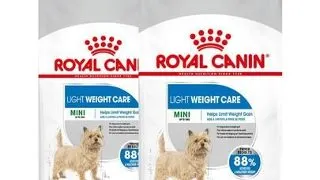 ROYAL CANIN CCN Mini Light Weight Care hrana uscata pentru caini adulti, rase mici cu tendinta de supraponderabilitate16 kg (2 x 8 kg)