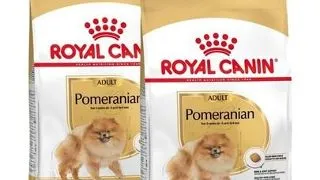 ROYAL CANIN Pomeranian Adult 2x3 kg hrana uscata pentru caini mini spitz adulti