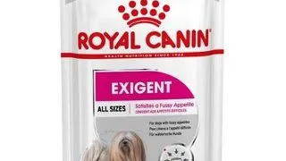 ROYAL CANIN Exigent hrana uscata caine apetit capricios 48 x 85 g