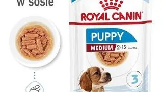 ROYAL CANIN Medium puppy 40x140 g