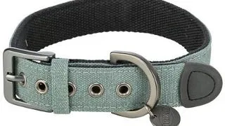 TRIXIE CityStyle Zgarda caini XS–S: 25–32 cm/25 mm, verde