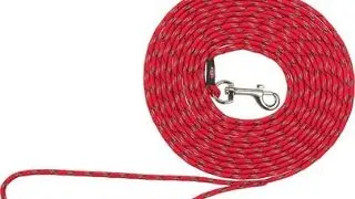 TRIXIE Junior lesa de dresaj pentru catei XXS–XS: 8 m/ 4 mm rosu