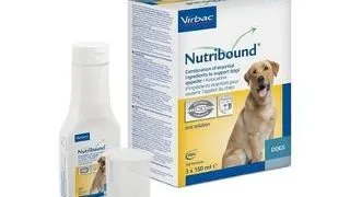 VIRBAC Nutribound Dog 3x150ml suspensie orala pentru caini in convalescenta