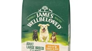JAMES WELLBELOVED Adult 10 kg hrana caini adulti de rase mari >14 luni - 10 ani bogata in curcan si orez