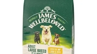 JAMES WELLBELOVED Adult 10 kg hrana caini adulti de rase mari >14 luni - 10 ani bogata in miel si orez
