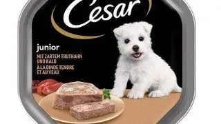 CESAR Junior pate pentru pui de catel 150 g curcan si vitel