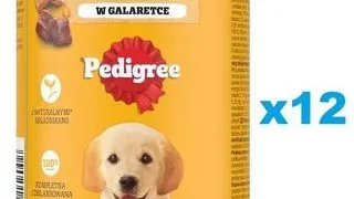PEDIGREE Junior 12 x 400g pui in aspic hrana umeda caini juniori
