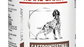 ROYAL CANIN Gastro Intestinal Low Fat hrana umeda cu continut redus de grasimi pentru caini cu tulburari gastro-intestinale 12 x 410 g