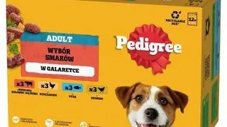 PEDIGREE Adult 12x100 g hrana umeda caini adulti, in gelatina