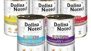 DOLINA NOTECI Premium Junior set conserve caini junior 48x400g mix arome
