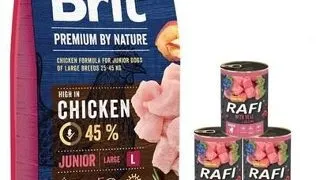 BRIT Premium By Nature Junior Large L 15 kg + 6x400 g conserve cu vitel