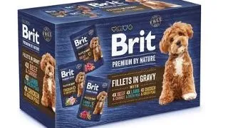 BRIT Premium by Nature caini adulti fileuri in sos Multipack 12x85g