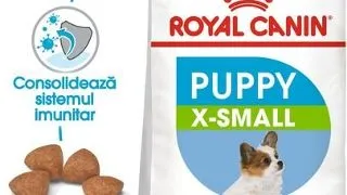 Royal Canin X-Small Puppy hrana uscata caine junior, 1.5 kg