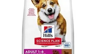 HILL'S Science Plan Canine Adult Small & Mini Hrana uscata caini talie mica, cu orez si miel 6 kg