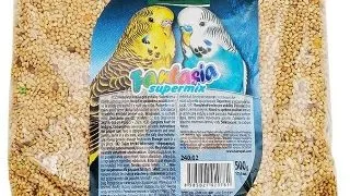 Hrana pentru perusi Tatrapet Fantasia, 500g