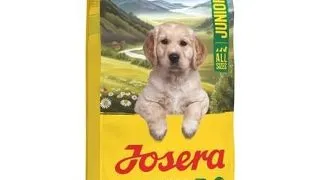 JOSERA YoungStar 12,5 kg hrana catei si caini tineri, fara cereale