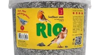 Seminte de floarea soarelui pentru pasari salbatice Rio, 2kg