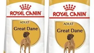 ROYAL CANIN Hrana uscata pentru caini adulti din rasa Great Dane 24 kg (2 x 12 kg)