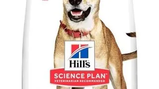 HILL'S Canine Adult 1+ Performance pui 14 kg pentru caini activi
