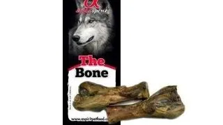 ALPHA SPIRIT Recompense caini, picior de porc 2 buc. ±340g