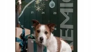 TRIXIE Calendar Advent pentru caini