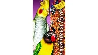 Baton cu banane si fructe de padure pentru papagali Tatrapet Fantasia, 2 bucati