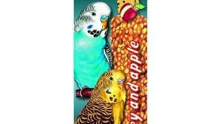 Baton cu miere si mar pentru perusi Tatrapet Fantasia, 2 bucati