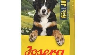 JOSERA Junior Kids 12,5 kg hrana caini tineri mari, cu pui si orez