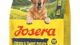 JOSERA Adult Chicken & Sweet Potato 900 g hrana caini activi, fara cereale
