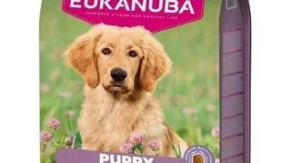 EUKANUBA Puppy Large Breeds Lamb Rice 12 kg hrana catei rase mari bogata in carne de miel si orez