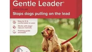 Beaphar Gentle Leader M ham pentru cap caini medii, rosu