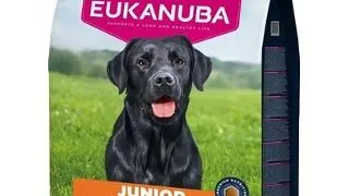 EUKANUBA Junior Large Breeds Chicken 15 kg hrana caini tineri rase mari, bogata in pui proaspat