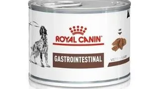 ROYAL CANIN Gastro Intestinal Canine 12x200 g dieta veterinara caini