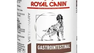 ROYAL CANIN Dog gastro intestinal 24x400 dieta veterinara caini