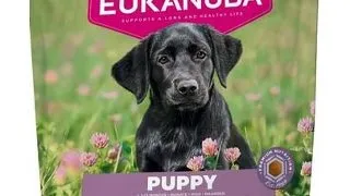 EUKANUBA Puppy Large Breeds Chicken 800 g hrana pentru catei rase mari bogata in pui proaspat