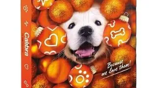 CALIBRA Calendar advent pentru caini cu gustari din carne 120 g