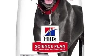 HILL'S Science Plan Canine Adult Large Perfect Digestion Chicken and Brown Rice 14kg hrana caini