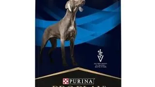 PURINA PRO PLAN Veterinary Diets Canine Dermatosis 12 kg hrana caini cu probleme dermatologice
