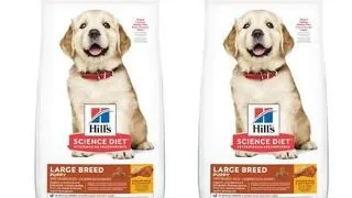 HILL'S Puppy Large Breed Chicken 29 kg (2x14,5 kg) hrana pui caine talie mare, cu pui
