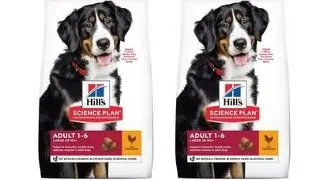 HILL'S Science Plan Canine Adult Large breed Chicken 36 kg (2x18 kg) hrana caini rasa mare, cu pui