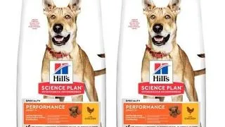 HILL'S Canine Adult 1+ Performance 28 kg (2x14 kg) hrana cu pui, pentru caini activi