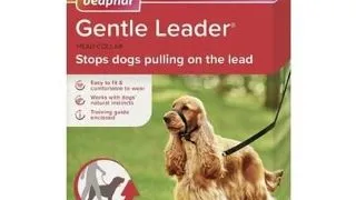 BEAPHAR Gentle Leader M zgarda dresaj pentru caini talie medie, negru