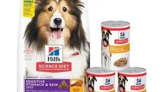 HILL'S Canine Adult Sensitive Stomach&Skin 14 kg + 3 conserve GRATIS