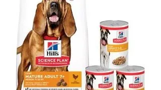 HILL'S Science Plan 7+ Dog Mature Light Medium Chicken 14 kg hrana caini maturi + 3 conserve GRATIS