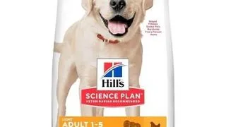 HILL'S Science Plan Canine Adult Light Large breed Chicken 18 kg pentru caini de rasa mare + 3 conserve GRATIS