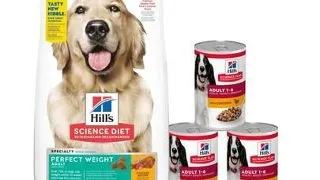 HILL'S Science Plan Adult 1+ Perfect Weight Large breed hrana uscata cu pui 12 kg + 3 conserve GRATIS