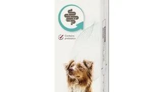 BEAPHAR IntestoPro pasta sustinerea consistentei scaunului 2x20 ml pentru caini (peste 15 kg)