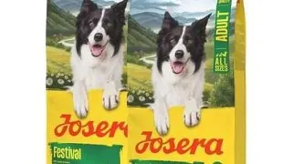 JOSERA Festival 2x12,5kg hrana caini pretentiosi, cu sos delicios